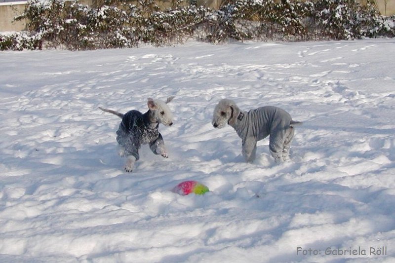 Quincy 2009-01-05 (5).JPG